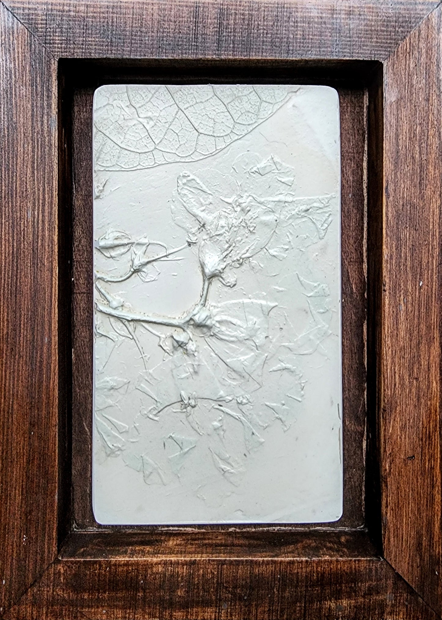 Plaster Botanical Bas Relief Artwork