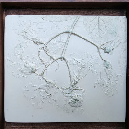 Northern Catalpa Plaster Botanical Bas Relief Wall Art