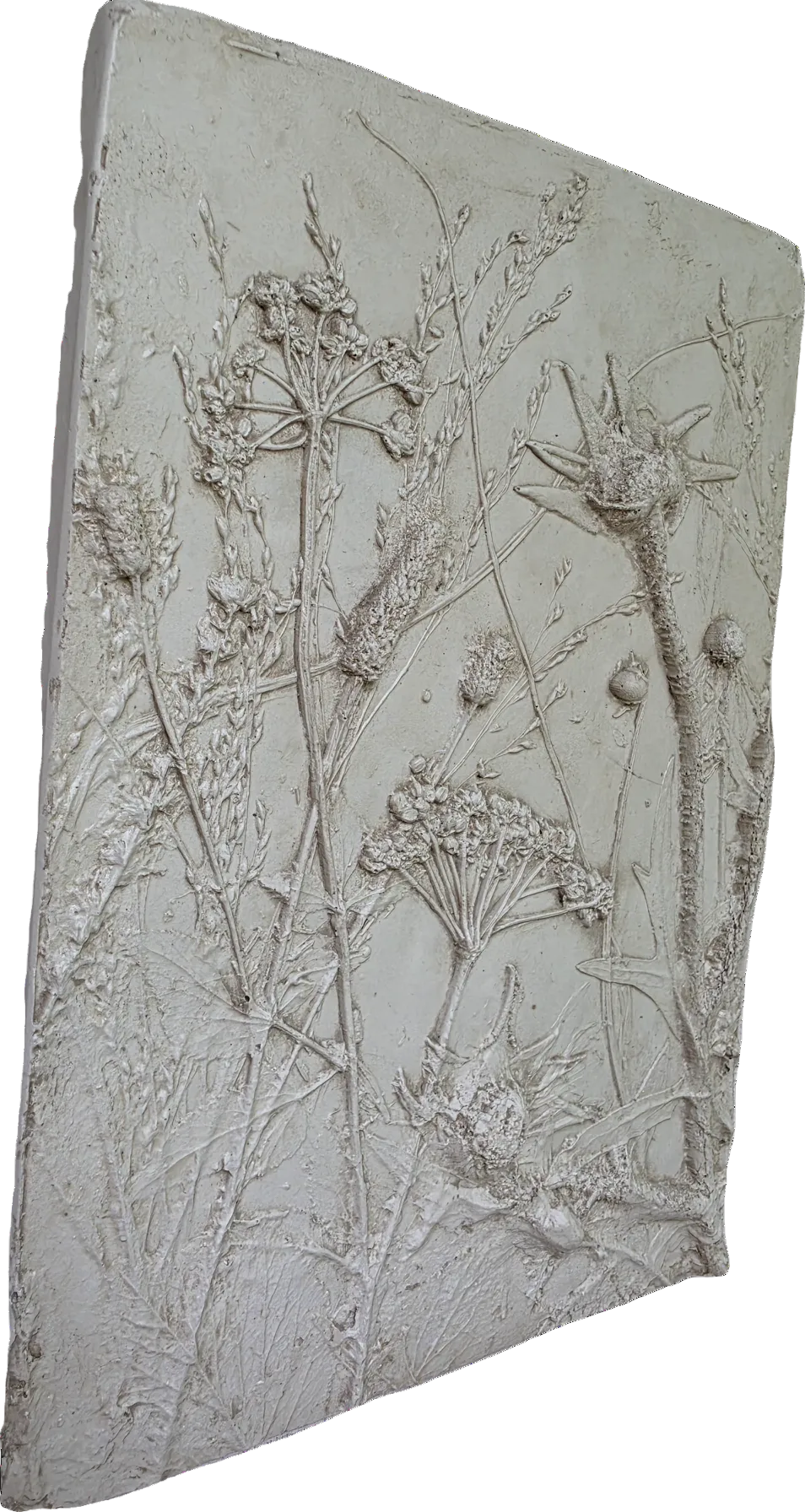 Compassplant, Golden Alexander & Gray-headed Coneflower Bas Relief – White Plaster