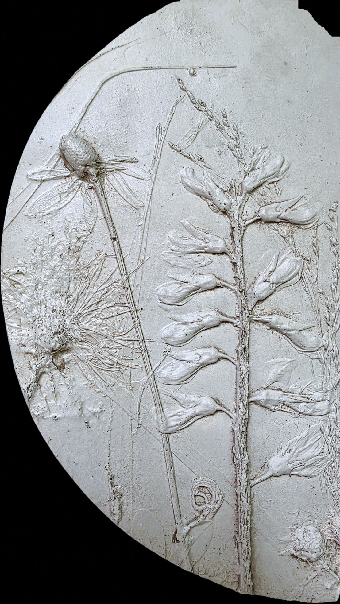 Plaster Botanical Bas Relief Wall Art