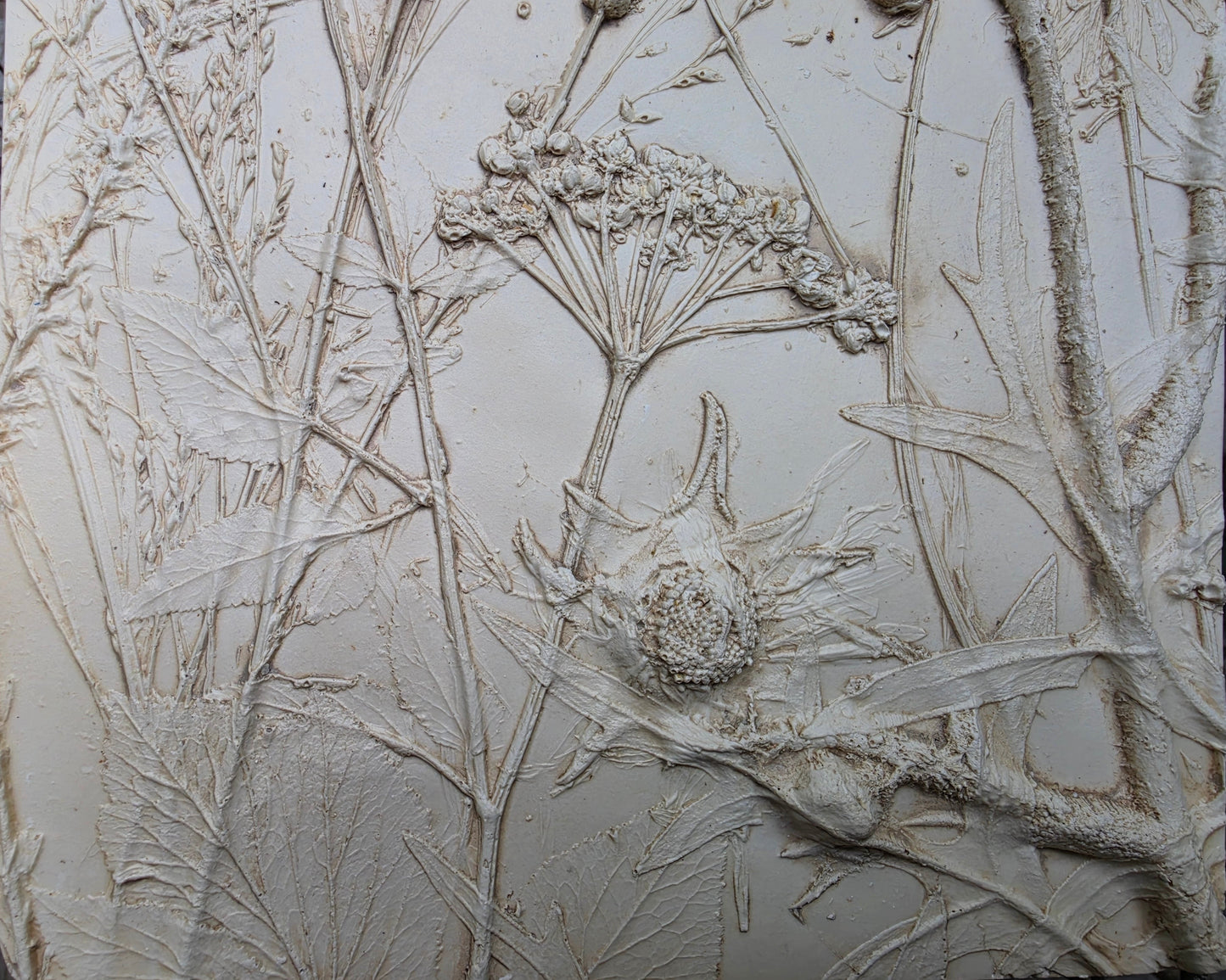 Plaster Botanical Bas Relief Wall Art
