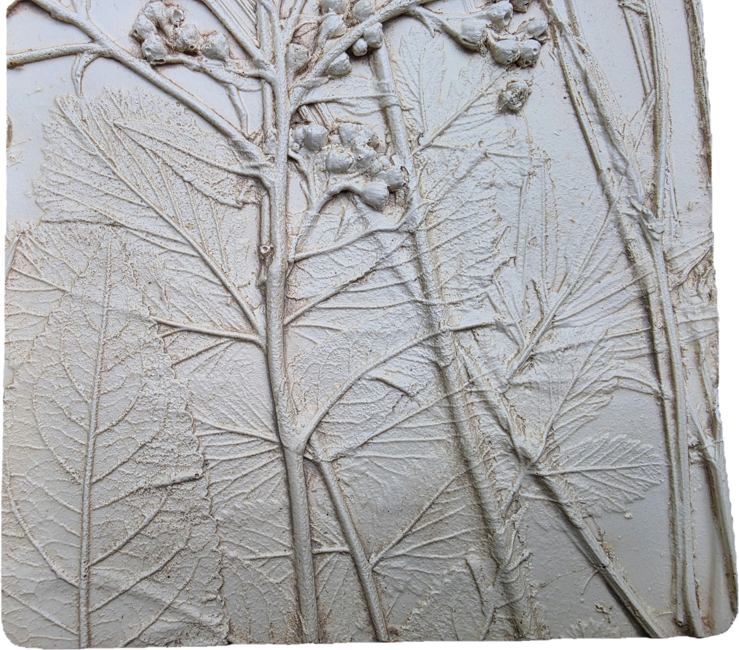 Bas Relief Plaster Wall Art – Natural Plaster)