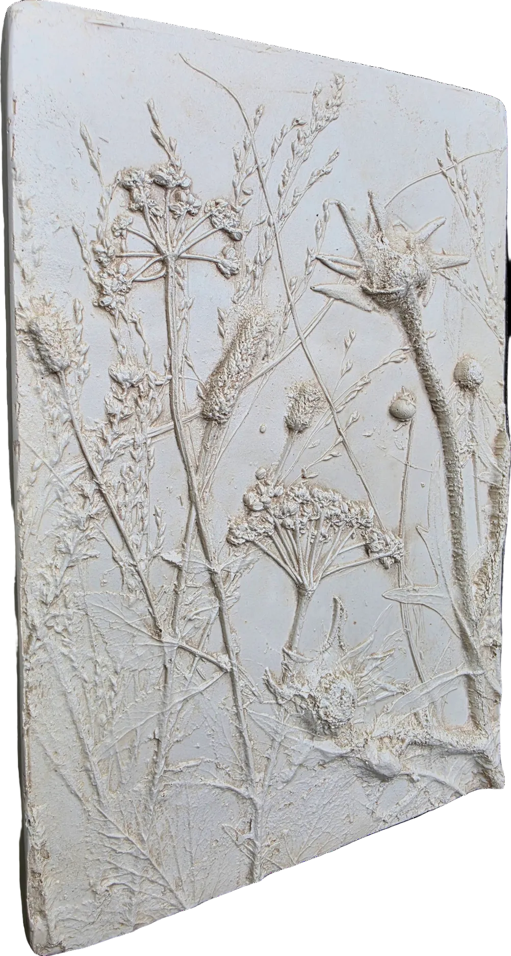 Plaster Botanical Bas Relief Wall Art