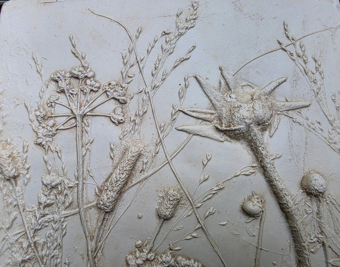 Plaster Botanical Bas Relief Wall Art