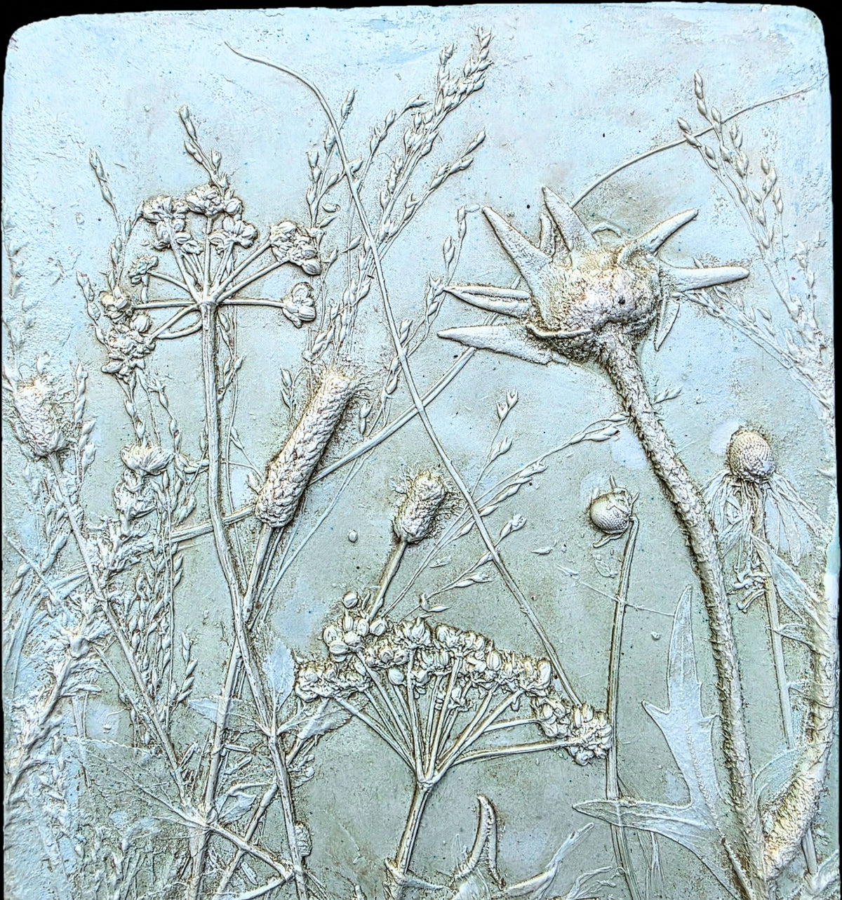 Compassplant, Golden Alexander & Gray-headed Coneflower Bas Relief – Green-tinted Plaster