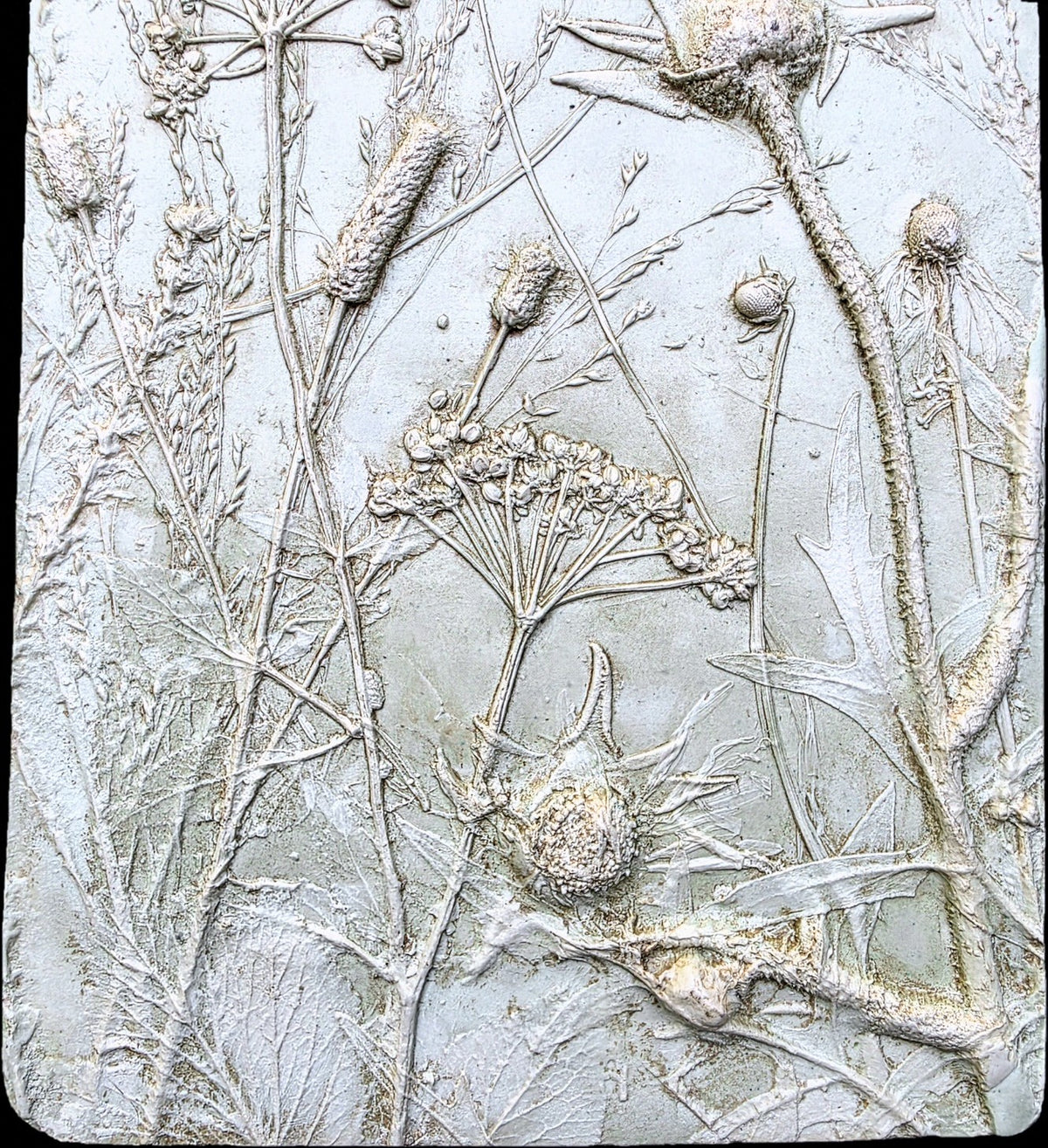 Compassplant, Golden Alexander & Gray-headed Coneflower Bas Relief – Green-tinted Plaster