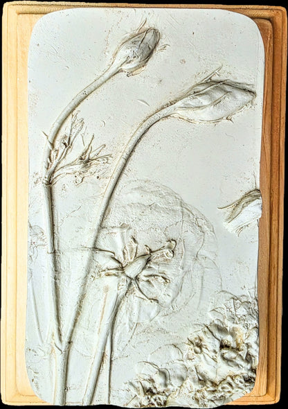 Lisianthus Plaster Botanical Bas Relief Wall Art