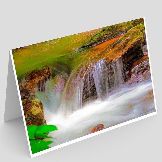 Anna Ruby Falls Greeting Card IMG_5042