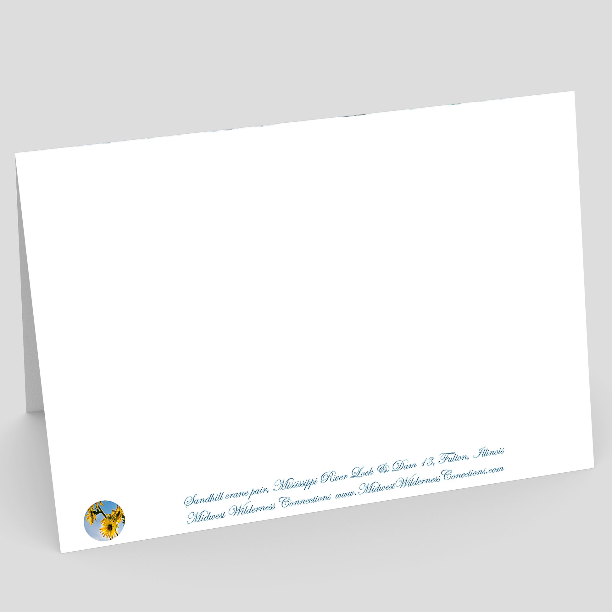 View of the backside of a White greeting card with blue text and a logo on a gray background. The text describes the photo on the front of the card and where the photo was taken.