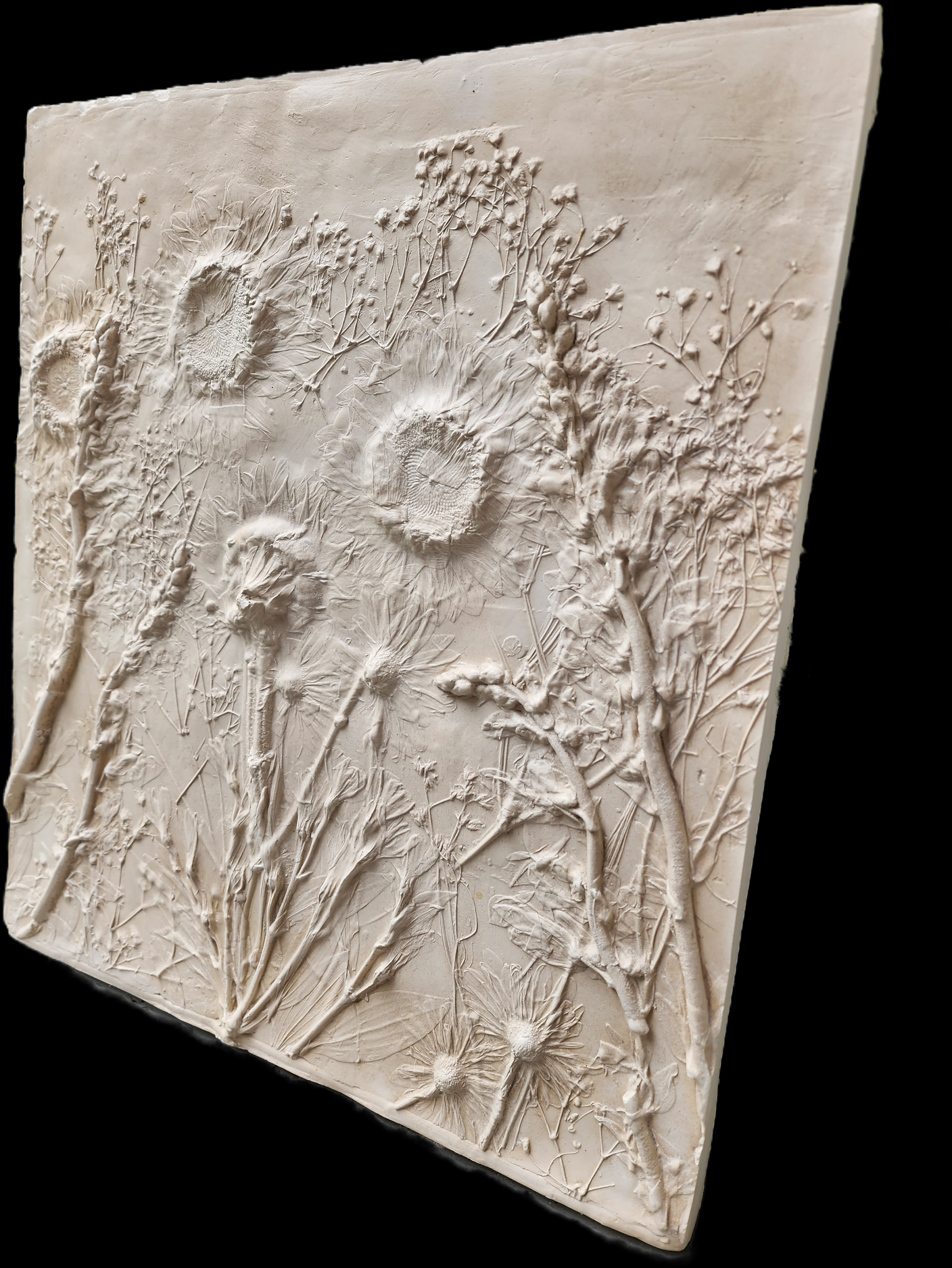 Plaster Botanical Bas Relief Artwork