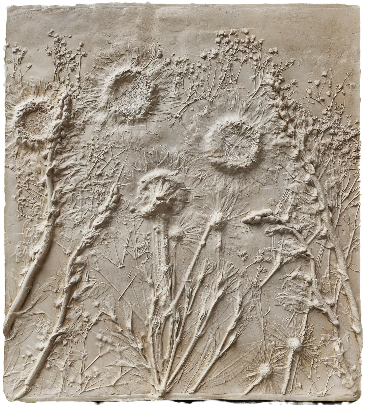 Plaster Botanical Bas Relief Artwork