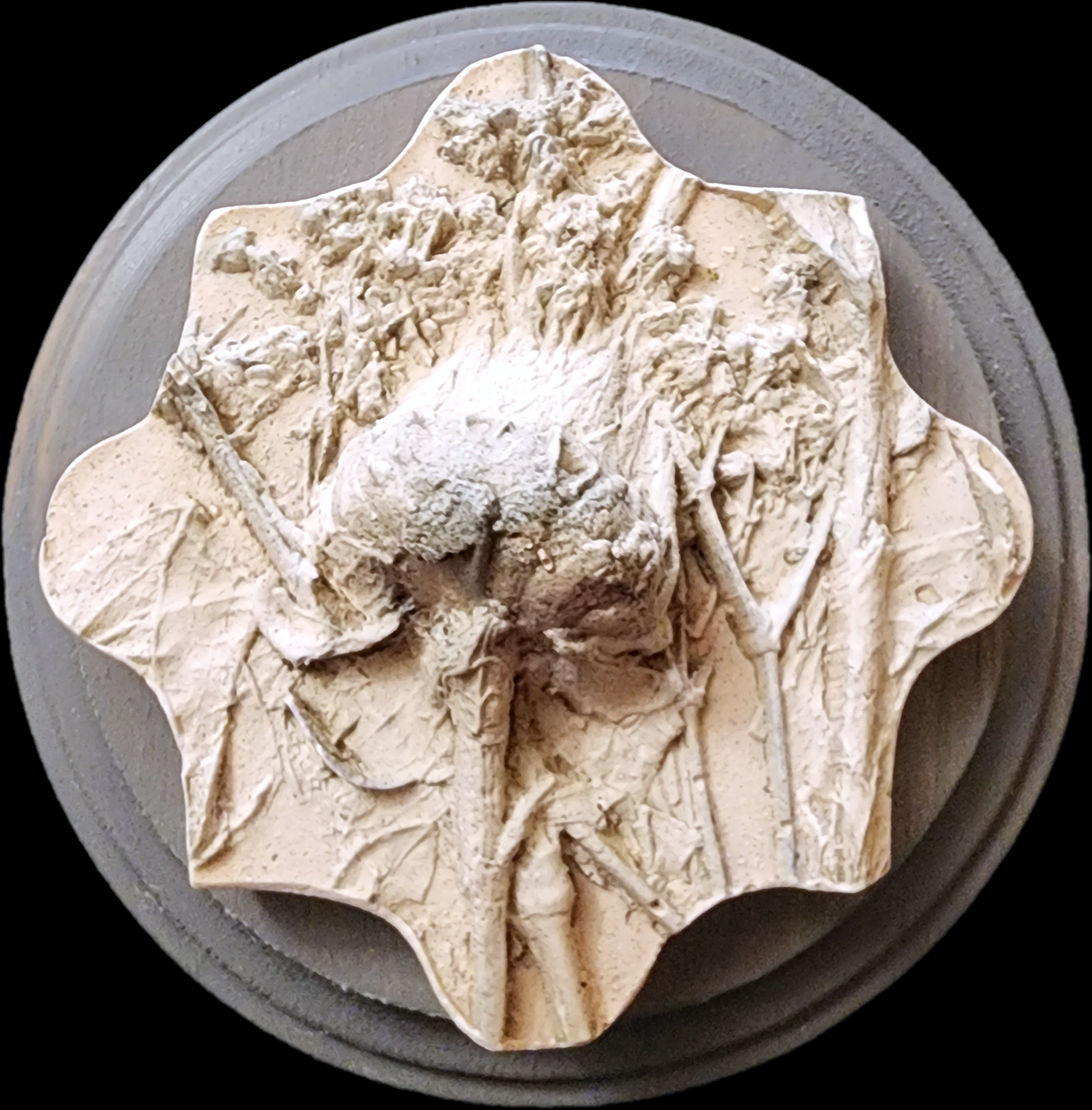 Coming Soon! Plaster Botanical Bas Relief Artwork