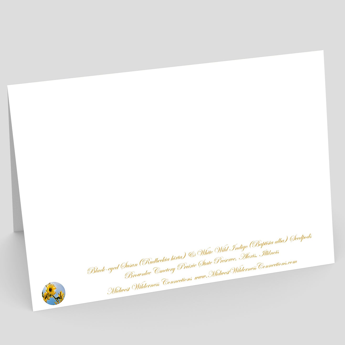 Backside view of a White card with gold text on a gray background. The text along the bottom edge describes the image on the front and where the photo was taken
