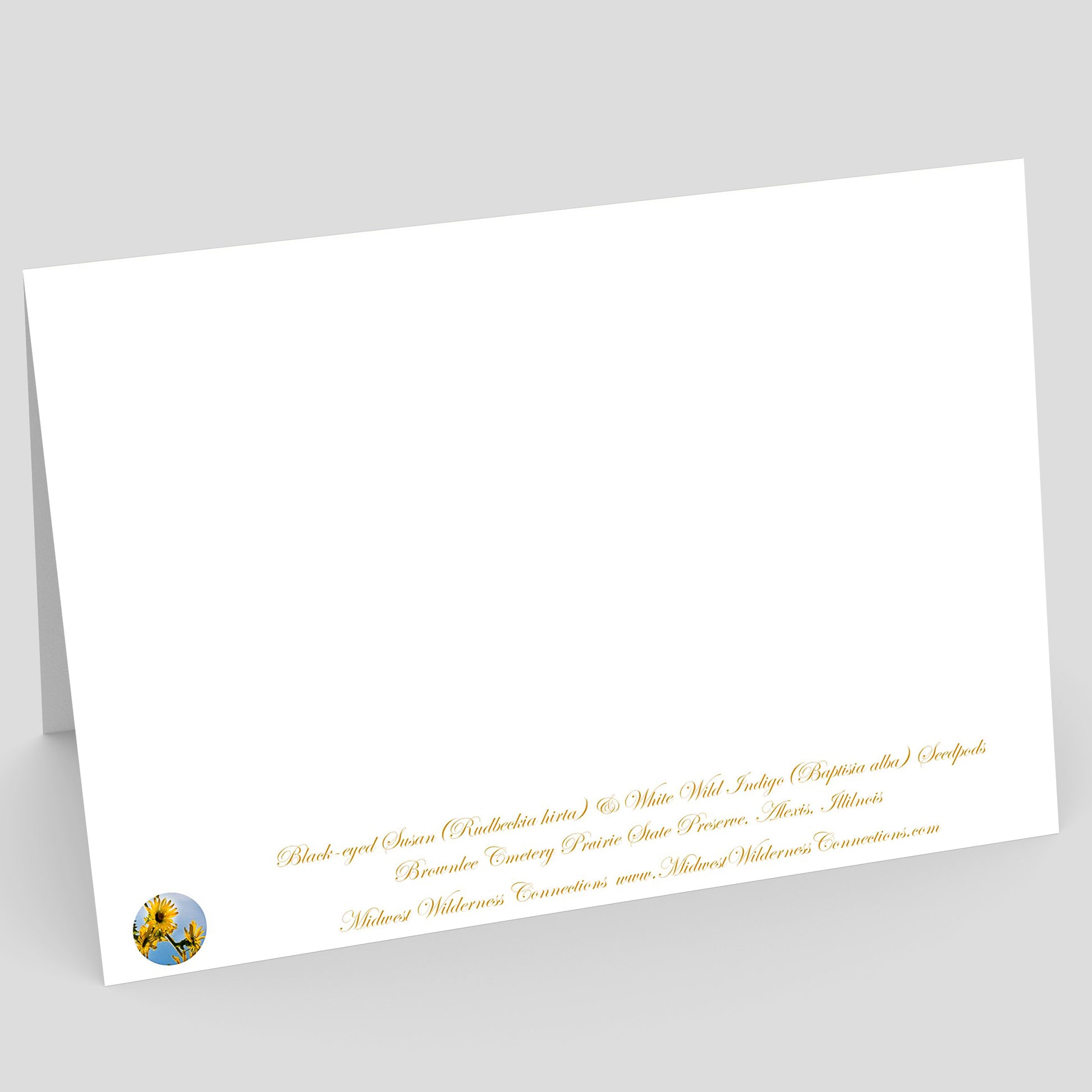 Backside view of a White card with gold text on a gray background. The text along the bottom edge describes the image on the front and where the photo was taken