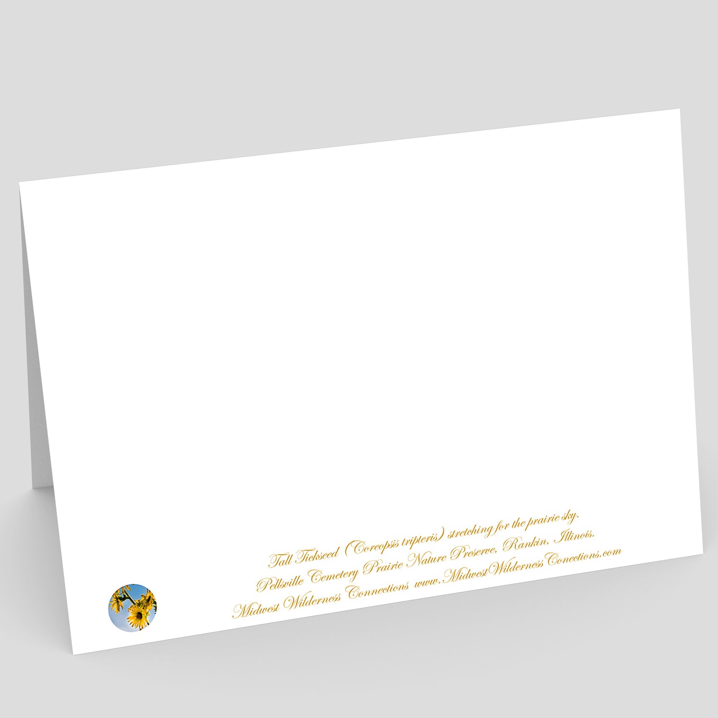 View of the backside of a white greeting card card with gold text and a logo on a gray background. The text, which is along the bottom edge, describes the photo on the front of the card and where the photo was  taken