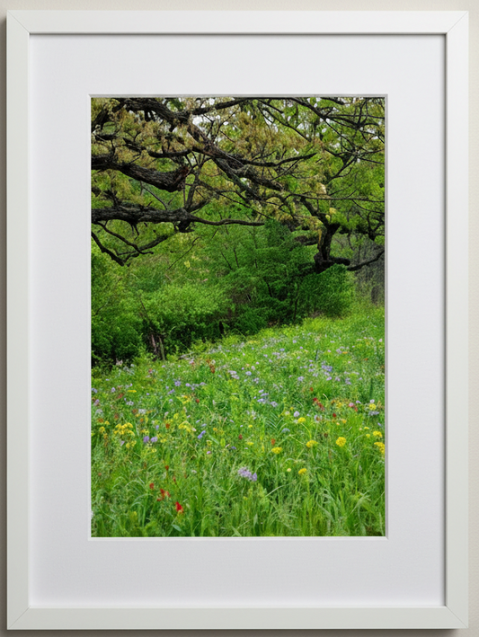 Rochester Cemetery Photo Print IMG_0145
