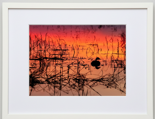 Framed artwork of a sunset over water with reeds and a silhouetted goose, featuring a white frame.
