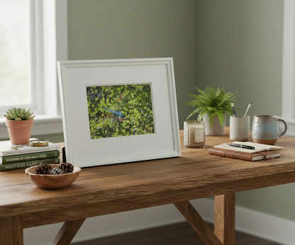 Framed photograph of an eastern pond hawk dragonfly on a wooden table with decor items