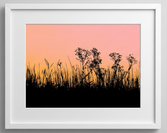 Framed artwork of silhouettes of prairie plants against a pink and orange sunset sky.