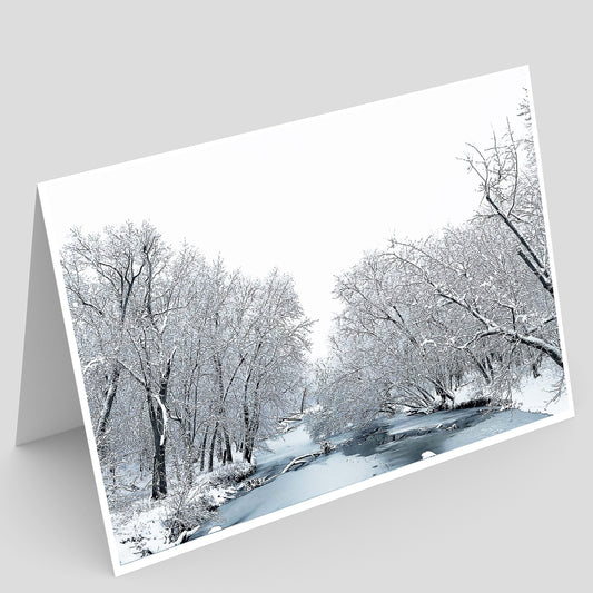 Allerton Park and Retreat Center Greeting Card IMG_114637