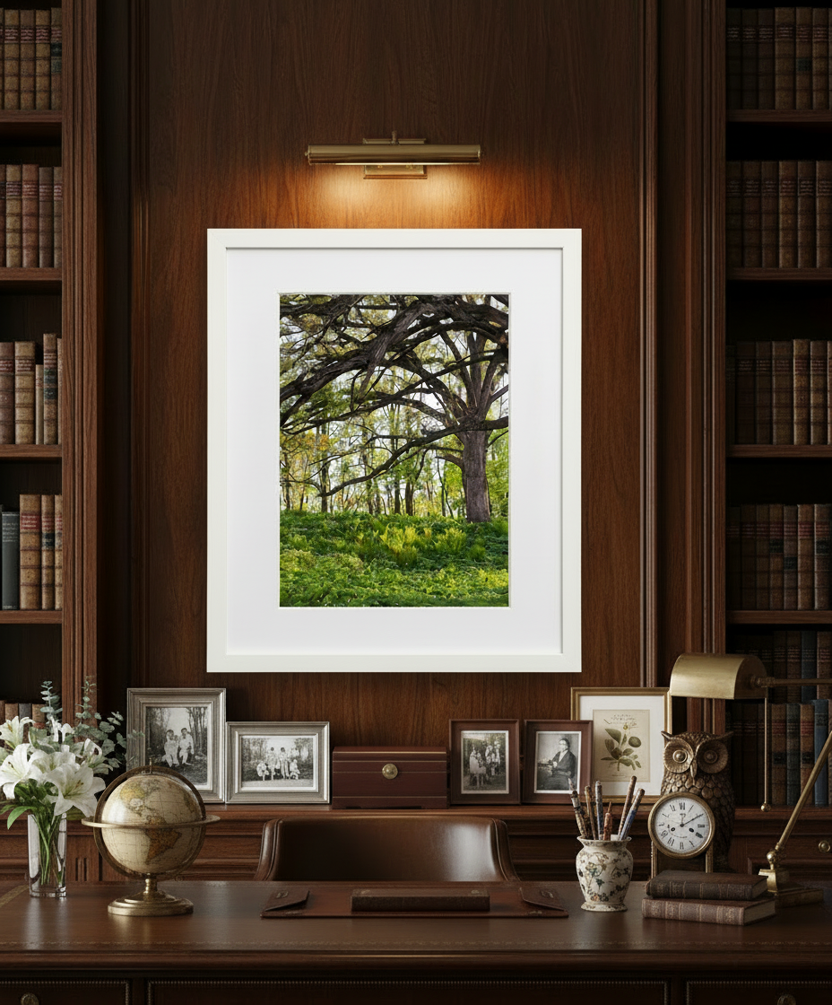Framed nature print of an oak savanna in iowa on a desk with books and decorative items in the background