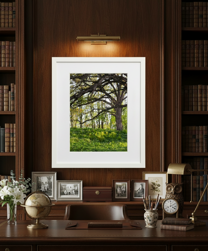 Framed nature print of an oak savanna in iowa on a desk with books and decorative items in the background