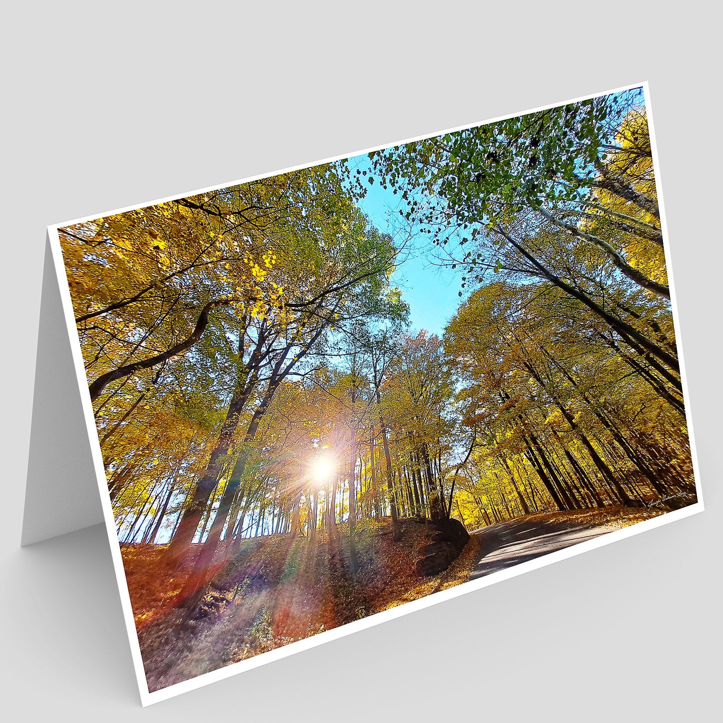 Kickapoo State Recreation Area Greeting Card IMG_144824