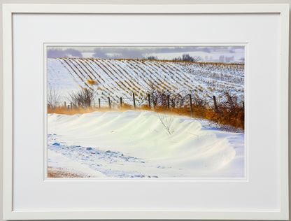 Framed photograph of a snowy landscape with a snow-covered fencline in the foreground.
