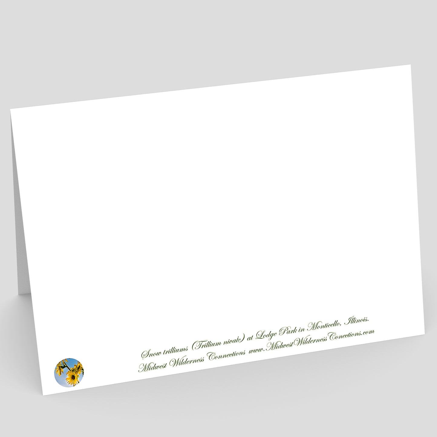 Lodge Park Greeting Card IMG 172633