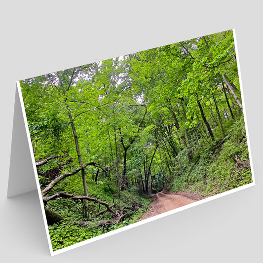 Green Island WMA IMG_173525 Greeting Card