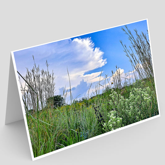 Greeting card with a scenic view of prairie grasses, flowers, storm clouds, 
and blue sky.
