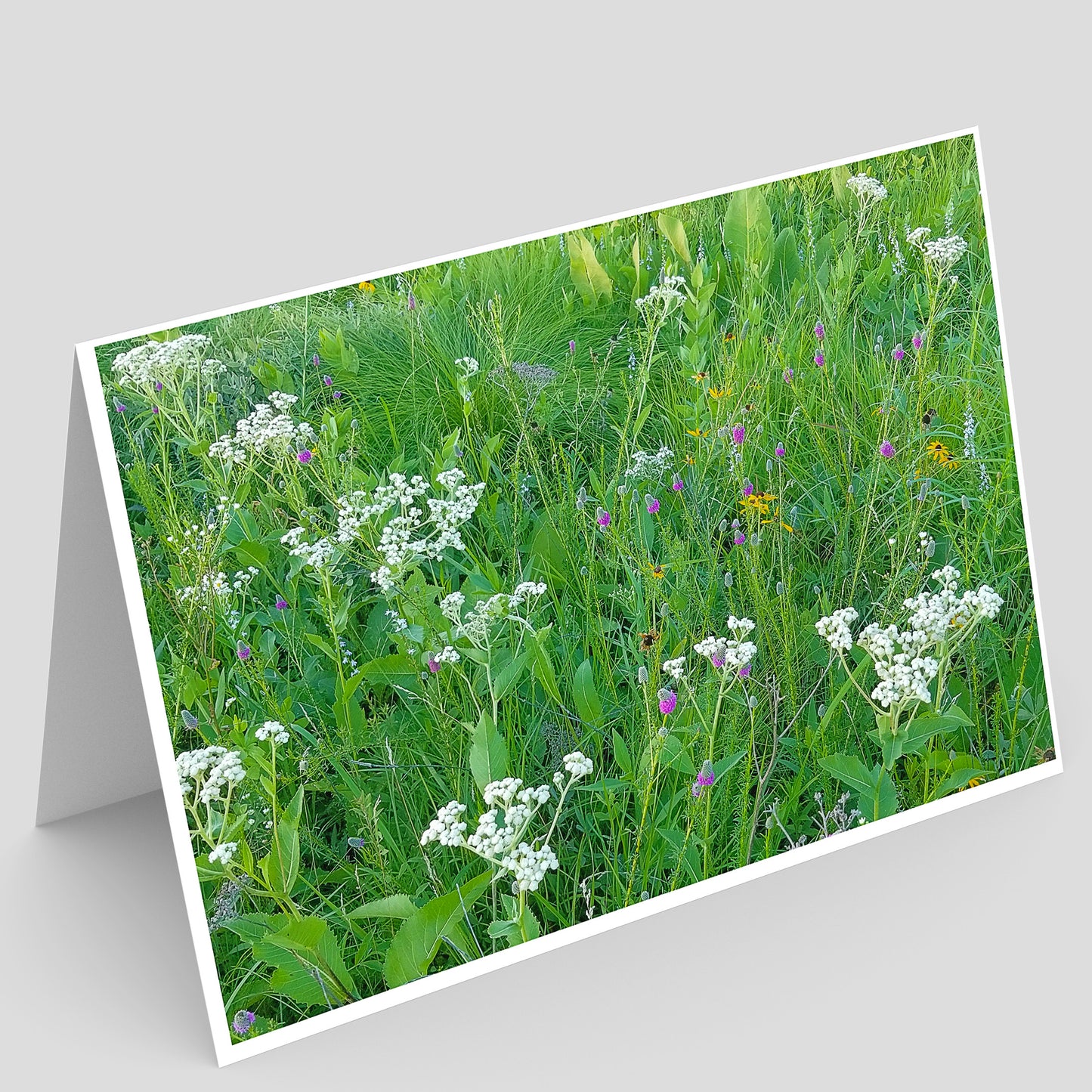 Pellsville Cemetery Prairie NP Greeting Card IMG_192251
