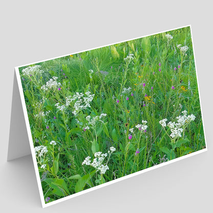 Pellsville Cemetery Prairie NP Greeting Card IMG_192251