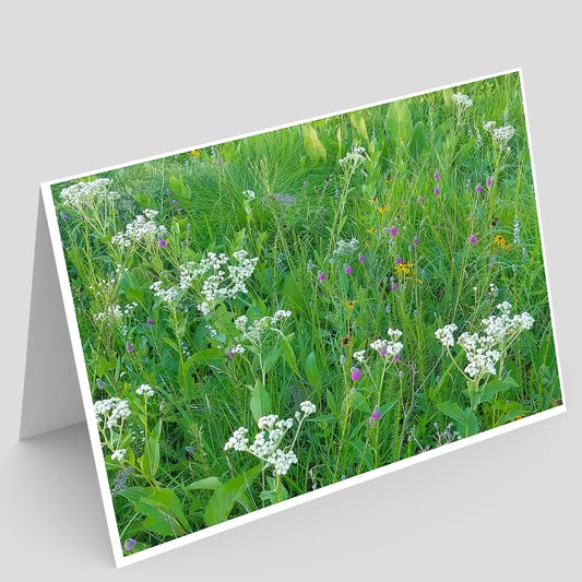 Pellsville Cemetery Prairie NP Greeting Card IMG_192251