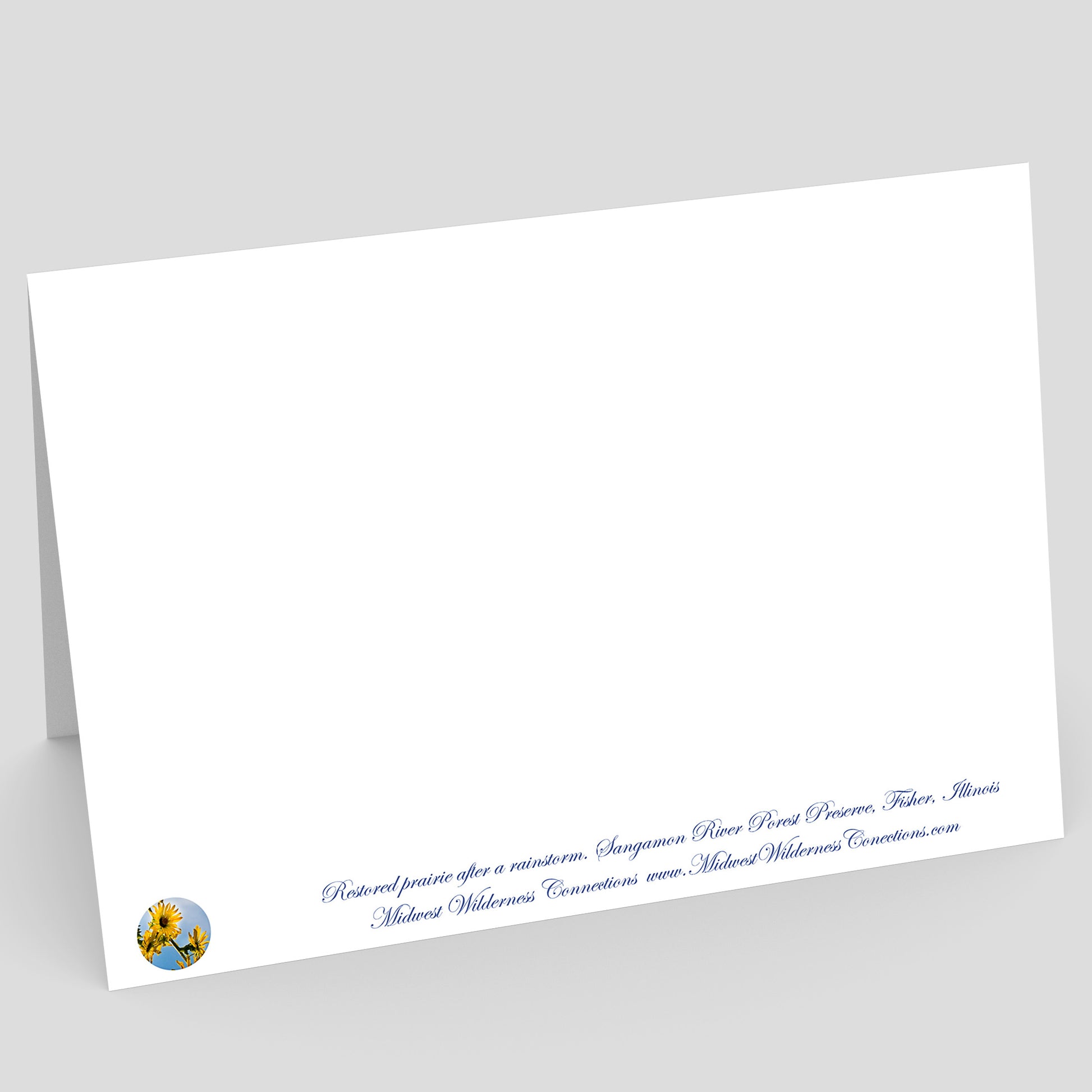 View of the backside of a White card with blue text and a logo on a gray background. The text along the bottom edge describes the image on the front of the card and where the photo was taken