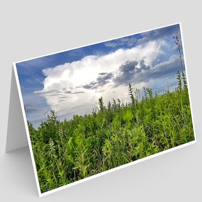 Full photo greeting Card with a photo of a illinois prairie of green plants and a blue sky with clouds on a gray background