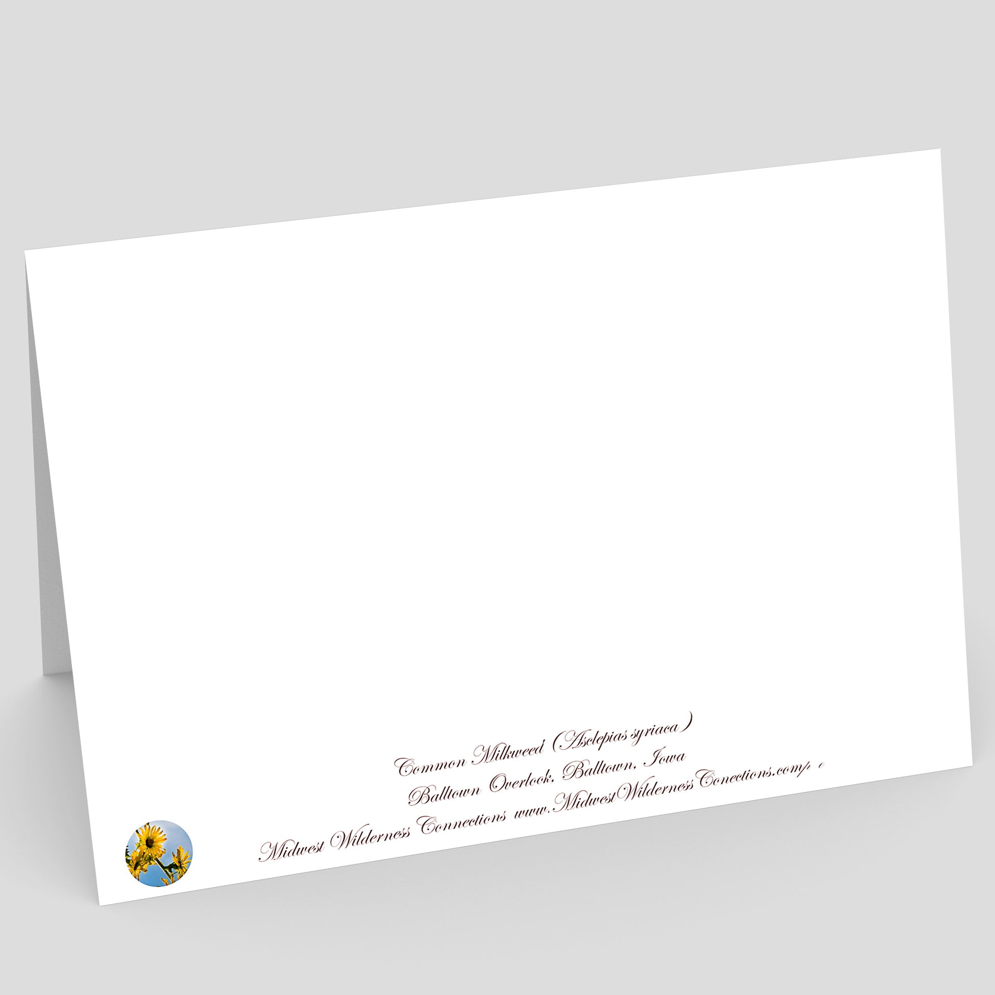 View of the backside of a White card with personalized address on a gray background. Text describes the scene on the front and where the photo was taken