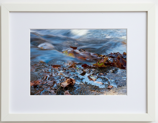 Framed artwork of a river scene with leaves and water.