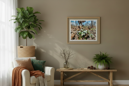 Living room with a beige armchair, wooden coffee table, and framed nature print of snow trillium on the wall.