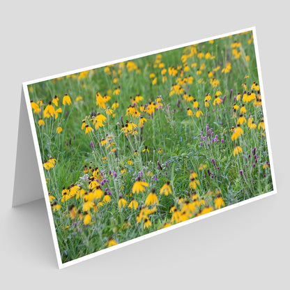 Kalsow Prairie State Preserve Greeting Card IMG_2513