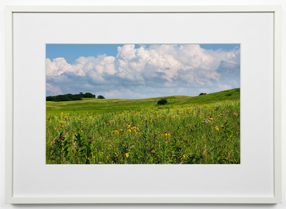 Framed picture of a midwest prairie with yellow flowers and a blue sky in Iowa 