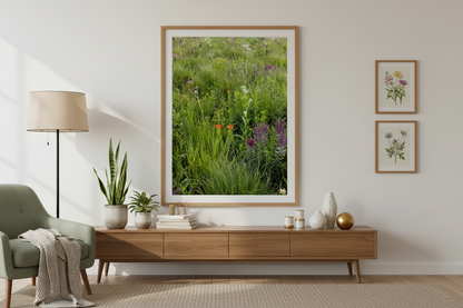 Framed photo print of a midwest , prairie , hanging in a sitting room