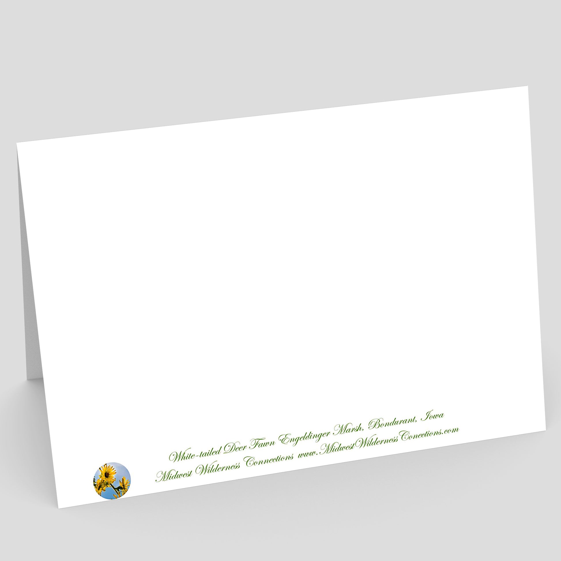 view of the backside of a White greeting card with green text and a logo on a gray background. The text along the bottom side of the card describes the image on the front of the card and where the photo was taken.
