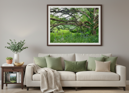 Living room with a beige sofa, decorative pillows, and a framed nature print on the wall.