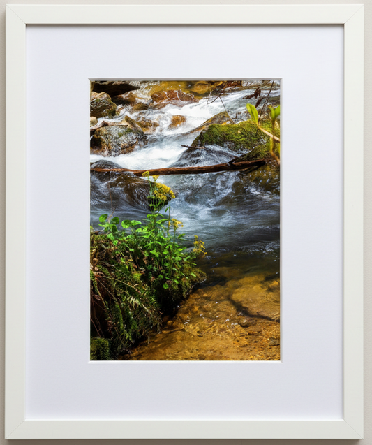 Framed photograph of a georgia stream with rocks and greenery