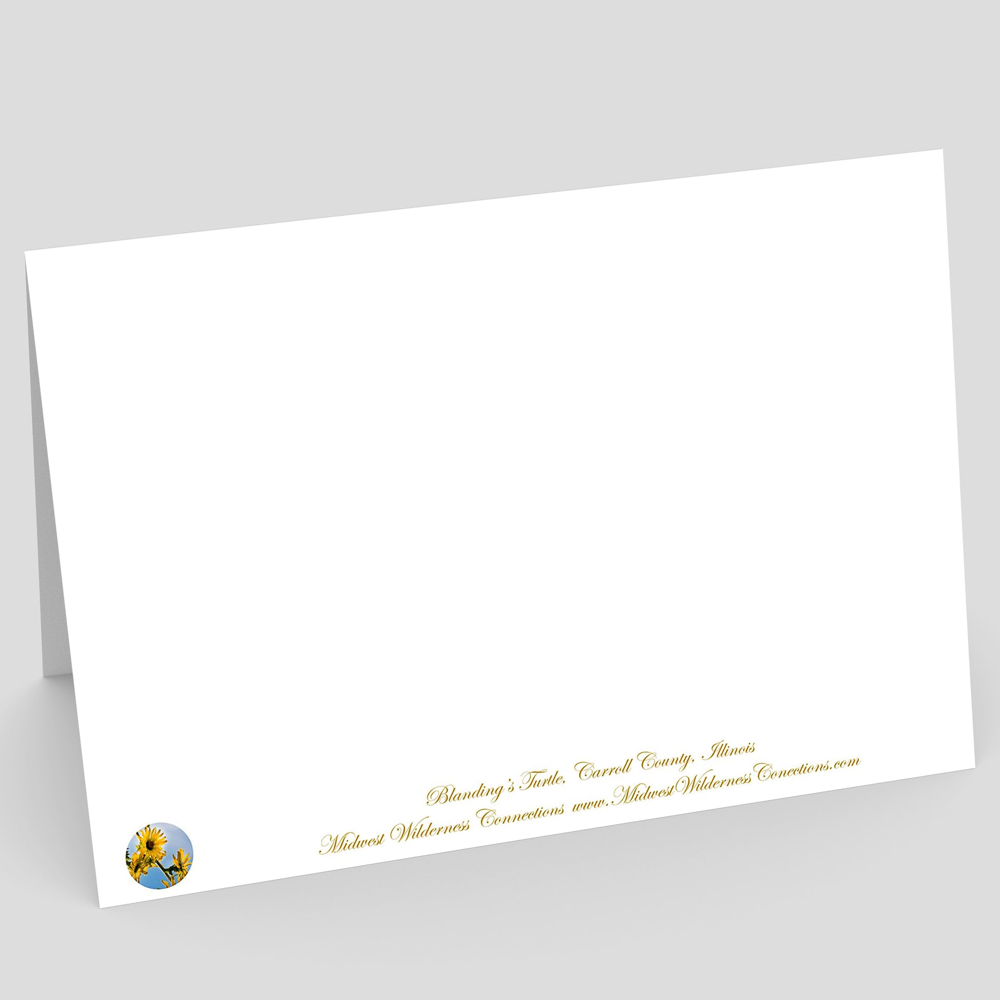 Backside view of a White card with gold text and a logo on a gray background. The text along the bottom edge of the card describes the image on the front of the card and where the photo was taken