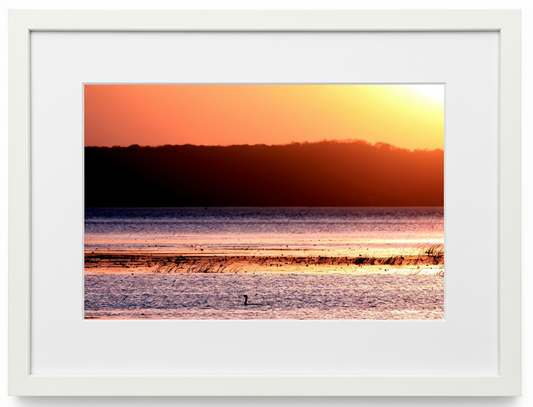 Framed photograph of a sunset over Mississippi water with a silhouetted cormorant in a white frame.