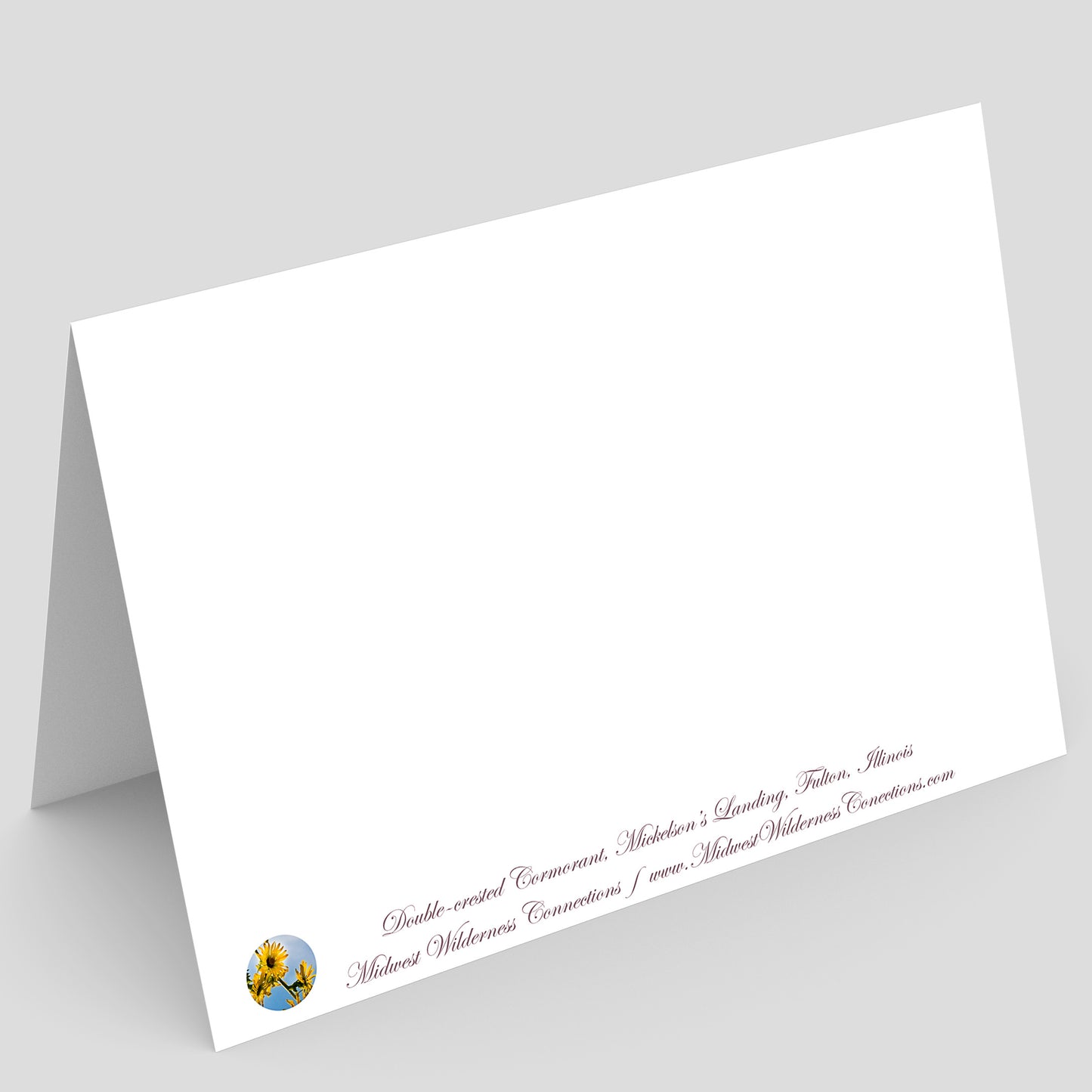 Mickelson's Landing Greeting Card IMG_5559
