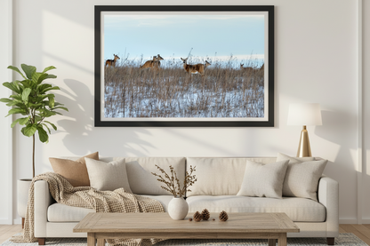 Living room with a framed picture of deer on the wall above a beige sofa.