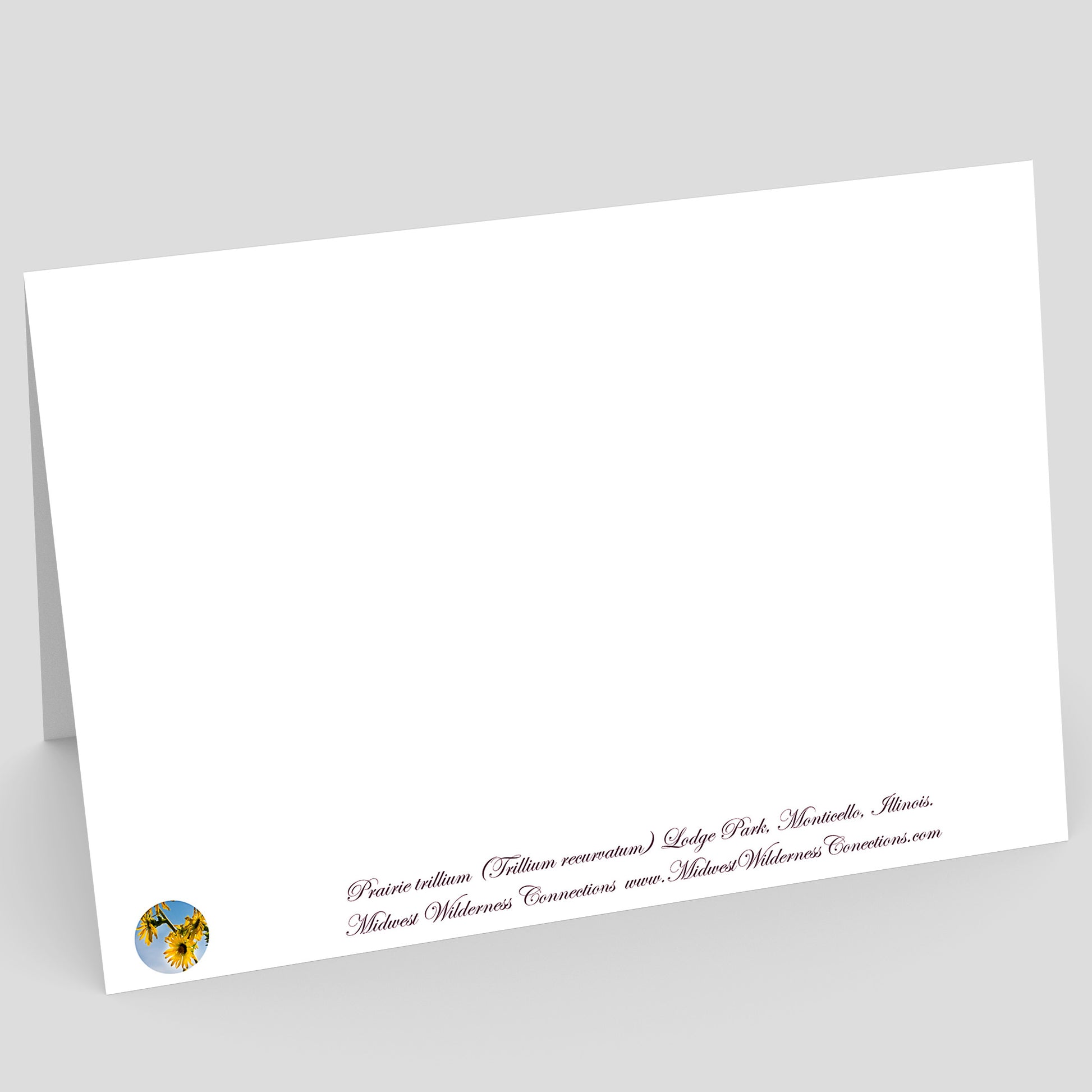 View of the backside of a White greeting card with text on a gray background. The text along the bottom edge of the card provides information about the image on the front of the card and where it was taken.